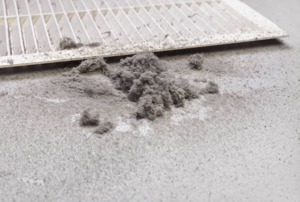 Best Affordable HVAC Duct Cleaning  in Wtmore Village, HI