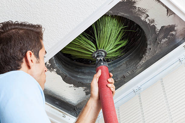 Best Air Duct Cleaning Near Me  in Wtmore Village, HI